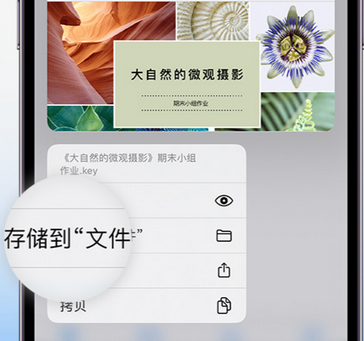 正阳apple维修中心分享iPhone文件应用中存储和找到下载文件