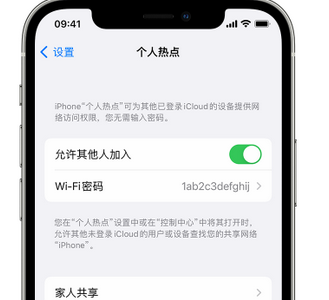 正阳apple服务站点分享iPhone上个人热点丢失了怎么办 