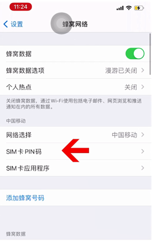 正阳苹果14维修网分享如何给iPhone14的SIM卡设置密码 