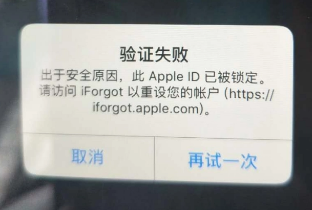 正阳iPhone维修分享iPhone上正常登录或使用AppleID怎么办 