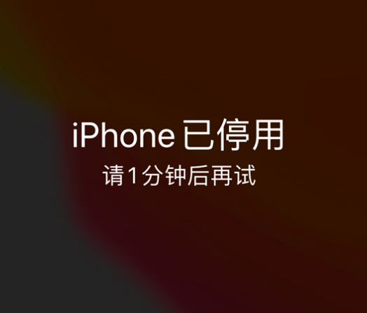 正阳苹果手机维修分享:iPhone 显示“不可用”或“已停用”怎么办？还能保留数据吗？ 