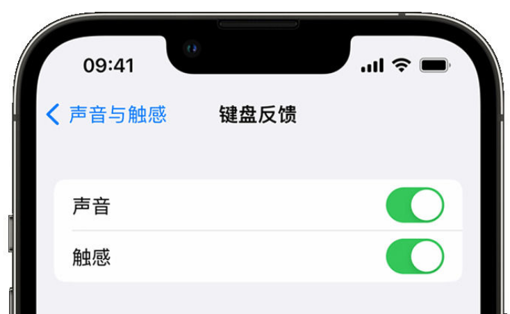 正阳苹果手机维修分享iPhone 14触感键盘使用方法 