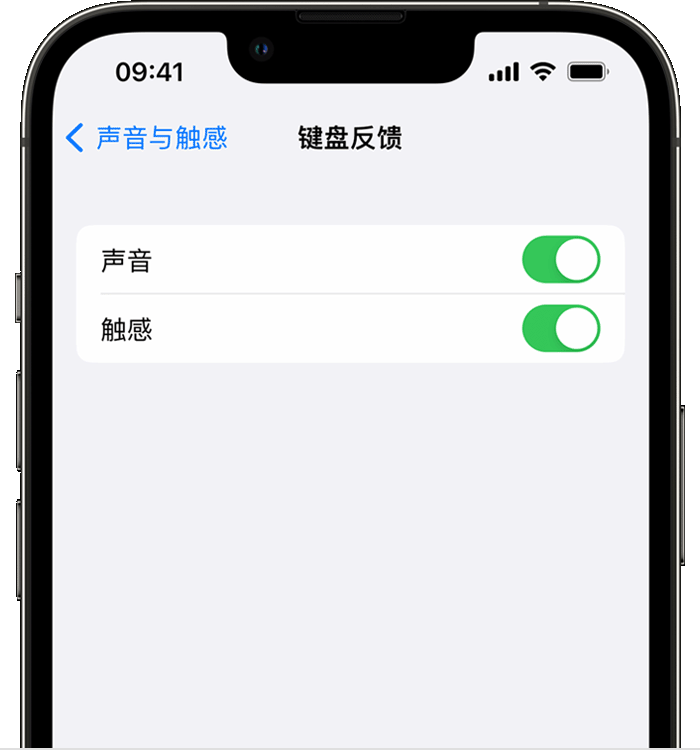 正阳苹果14维修店分享如何在 iPhone 14 机型中使用触感键盘 