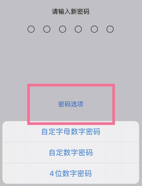 正阳苹果14维修分享iPhone 14plus设置密码的方法 