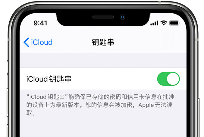 正阳苹果手机维修分享在 iPhone 上开启 iCloud 钥匙串之后会储存哪些信息 