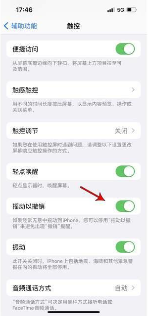 正阳苹果手机维修分享iPhone手机如何设置摇一摇删除文字 