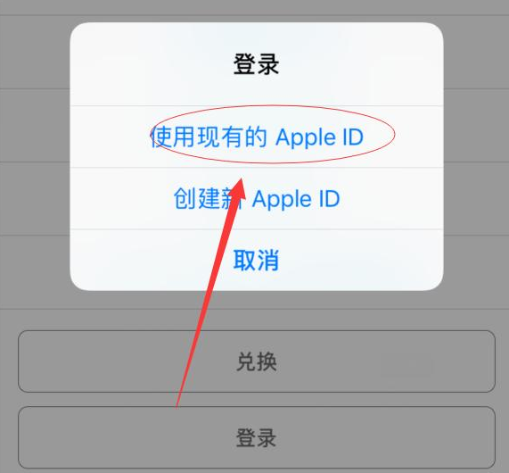 正阳苹果手机维修分享两台iPhone设备可以同时登录一个Apple ID吗 