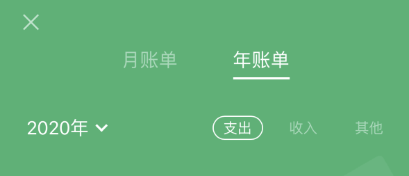 正阳苹果手机维修分享如何在 iPhone 上查看支付宝和微信年支出账单 